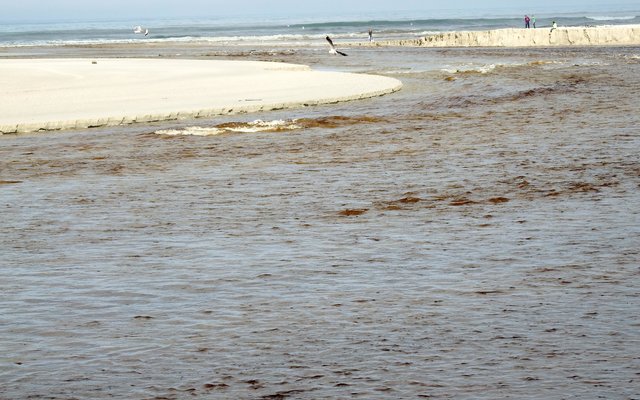 Die Mond van Uilenkraalsmond is weer oop, nadat die water Vrydagnag, 3 Julie 2015 deurgebreek het.  Dit is altyd ‘n welkome en pragtige gesig om te aanskou, veral met die rivier wat in ‘n sterk stroom see toe vloei.